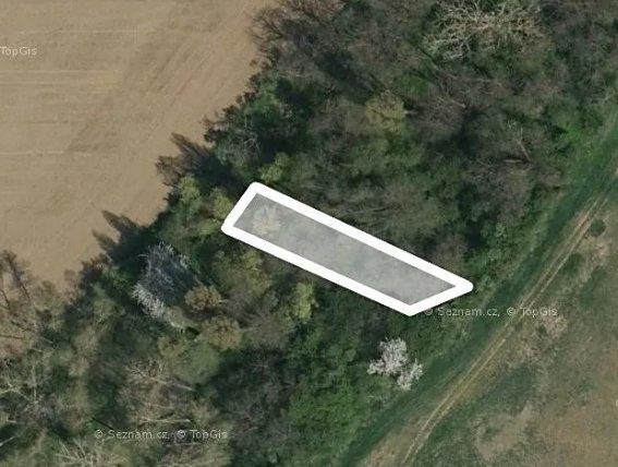 Prodam Les 392m2