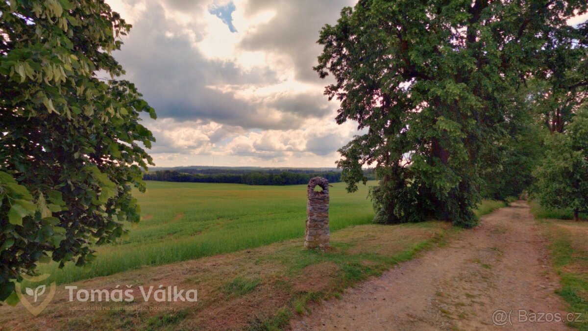Prodej pole v Moravském Krasu – 3 748 m2 – Suchdol