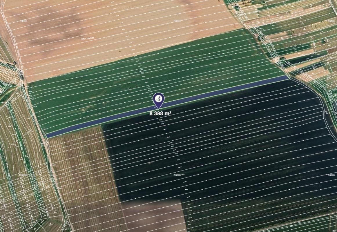 Prodej podílu 1/2 pole 4 169 m², Čejkovice