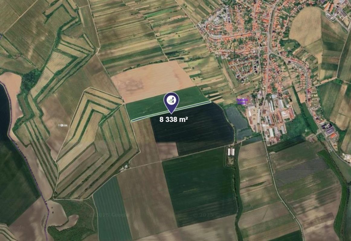 Prodej podílu 1/2 pole 4 169 m², Čejkovice