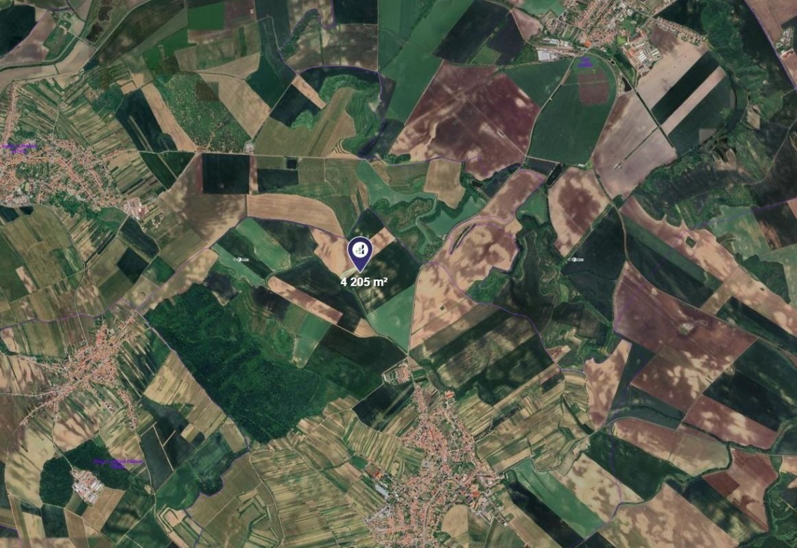Prodej pole v k.ú. Čejkovice, ev.č. 2026-06-03-074435