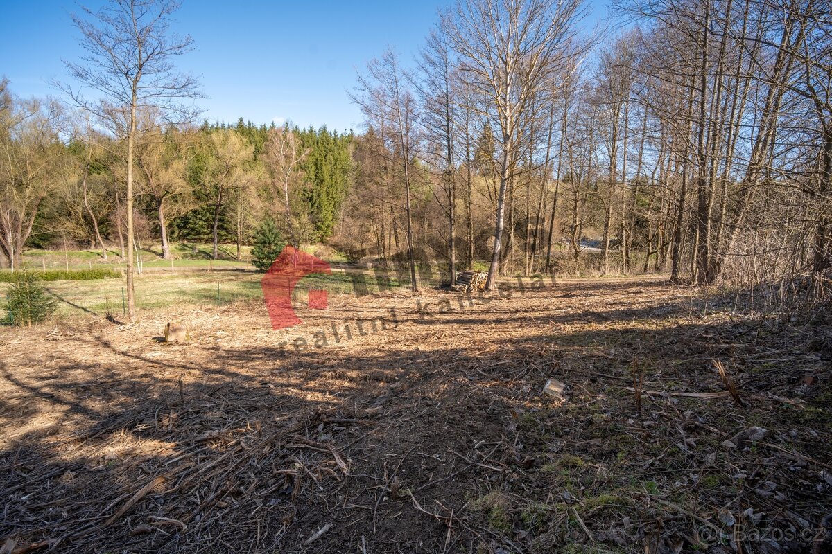 Prodej pozemku pro stavbu chaty u Vržanova, okr. Jihlava