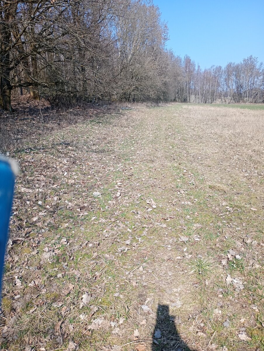 Krásný pozemek u Trnobran, u Litoměřic; louka u lesa