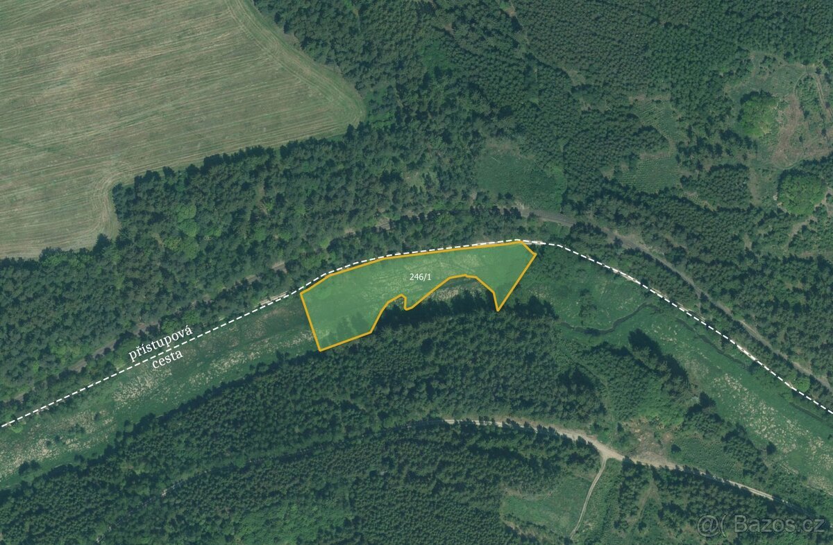 Louka, prodej, Skviřín, Bor, Tachov