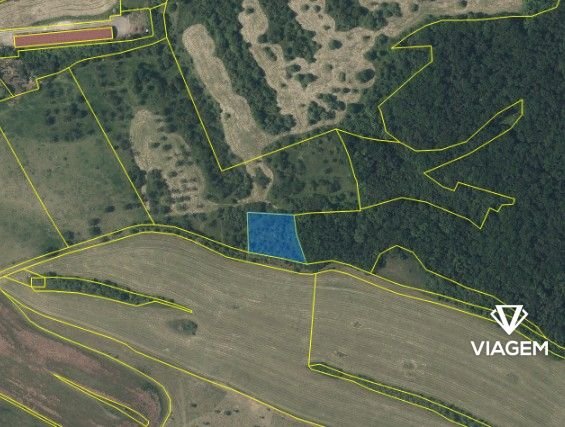 Pole 2 715 m²