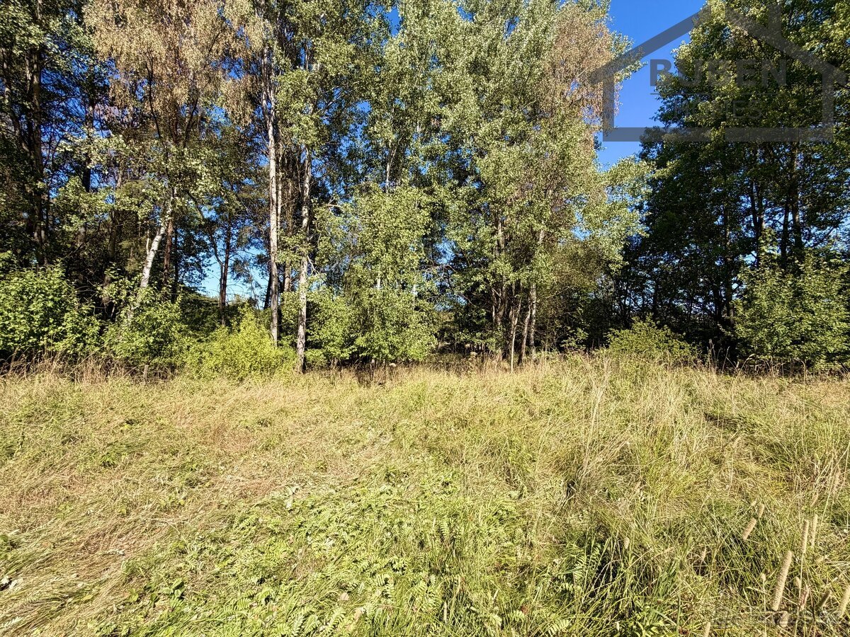 Stavební pozemek 904 m², Přimda - Újezd pod Přimdou