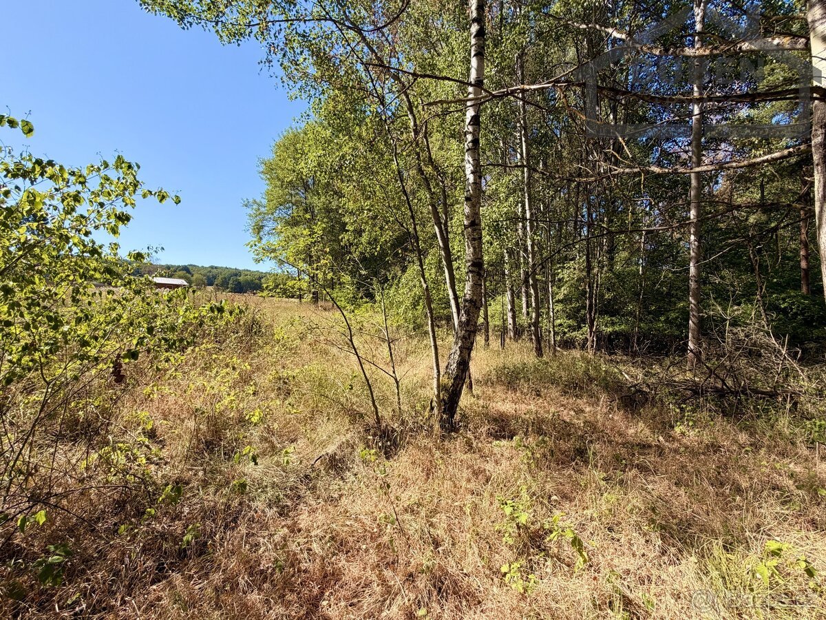 Stavební pozemek 904 m², Přimda - Újezd pod Přimdou