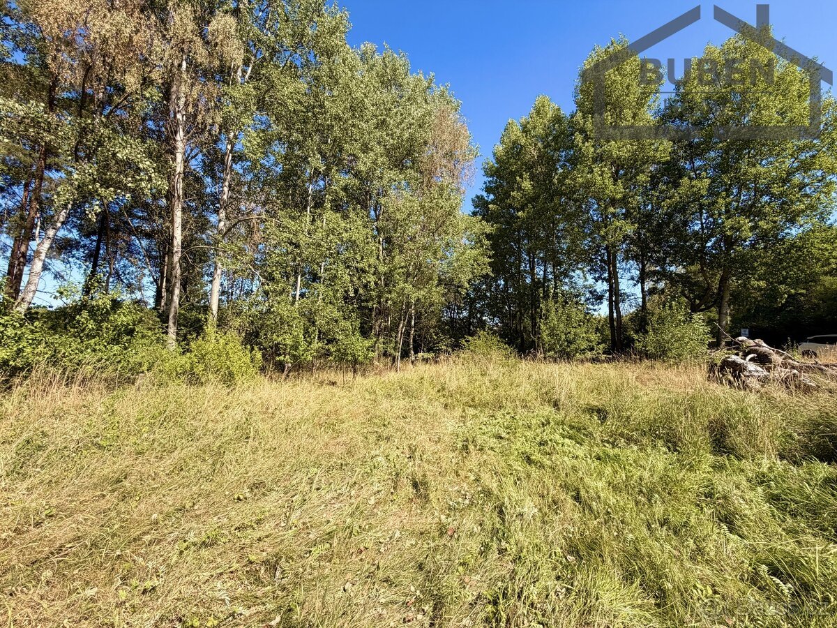 Stavební pozemek 904 m², Přimda - Újezd pod Přimdou