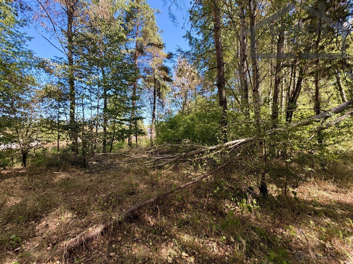 Stavební pozemek 894 m², Přimda - Újezd pod Přimdou
