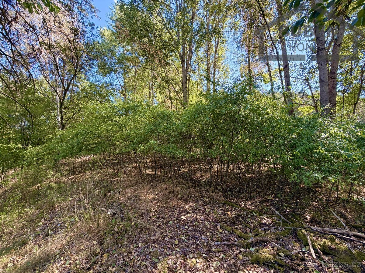 Stavební pozemek 894 m², Přimda - Újezd pod Přimdou