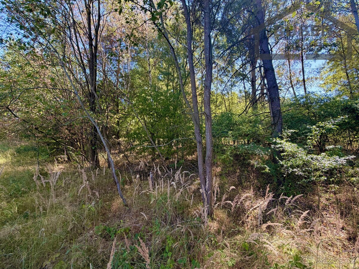 Stavební pozemek 894 m², Přimda - Újezd pod Přimdou