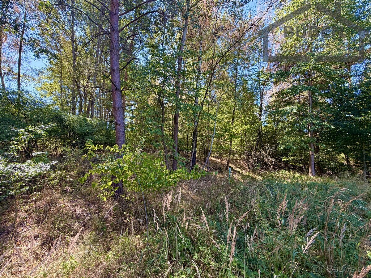 Stavební pozemek 894 m², Přimda - Újezd pod Přimdou