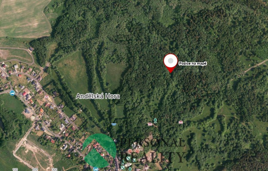 Prodej trvalý travní porost 9 593 m², Andělská Hora
