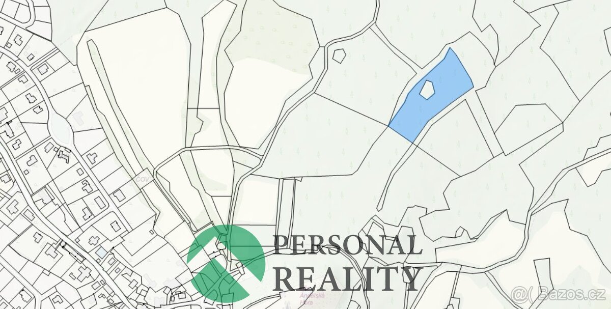 Prodej trvalý travní porost 9 593 m², Andělská Hora