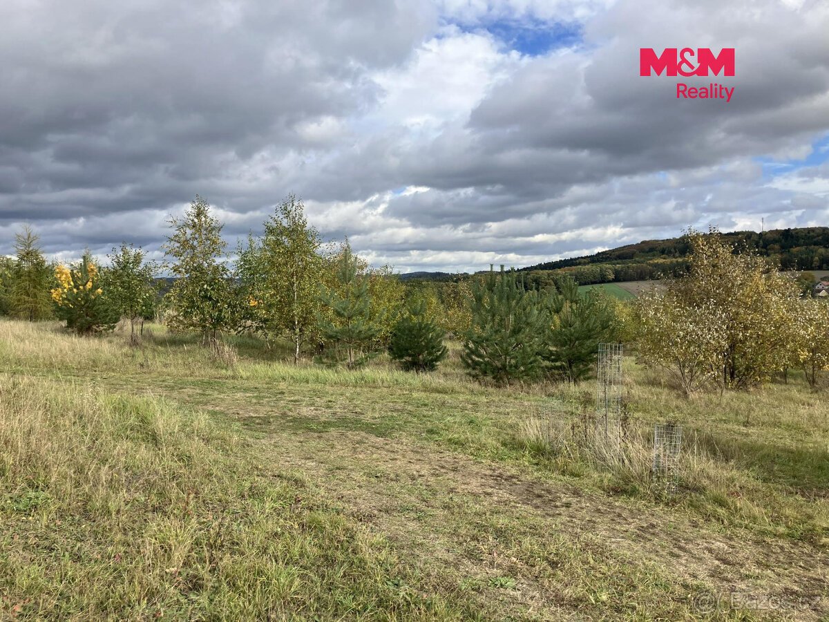 Prodej pozemku k bydlení, 22356 m², Švihov