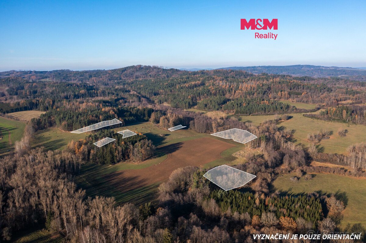 Prodej lesa, 25838 m², Nalžovské Hory