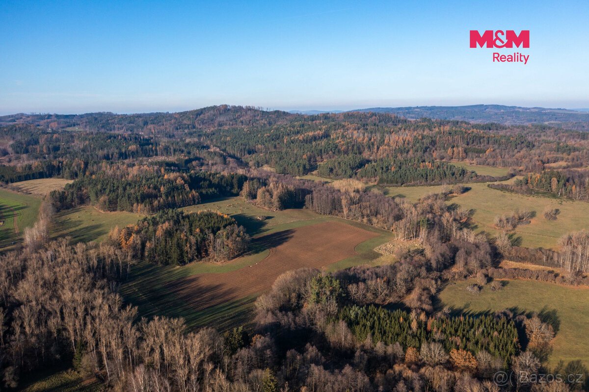 Prodej lesa, 25838 m², Nalžovské Hory