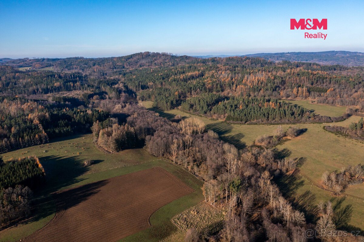 Prodej lesa, 25838 m², Nalžovské Hory