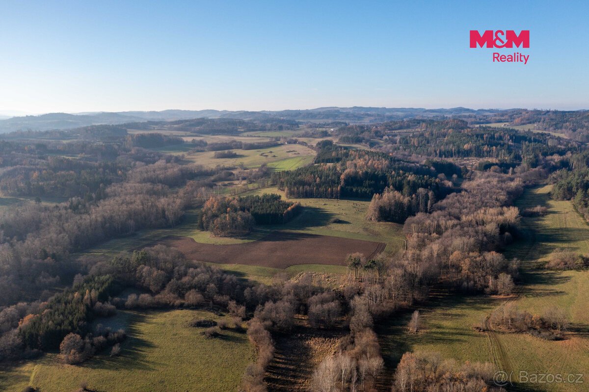 Prodej lesa, 25838 m², Nalžovské Hory