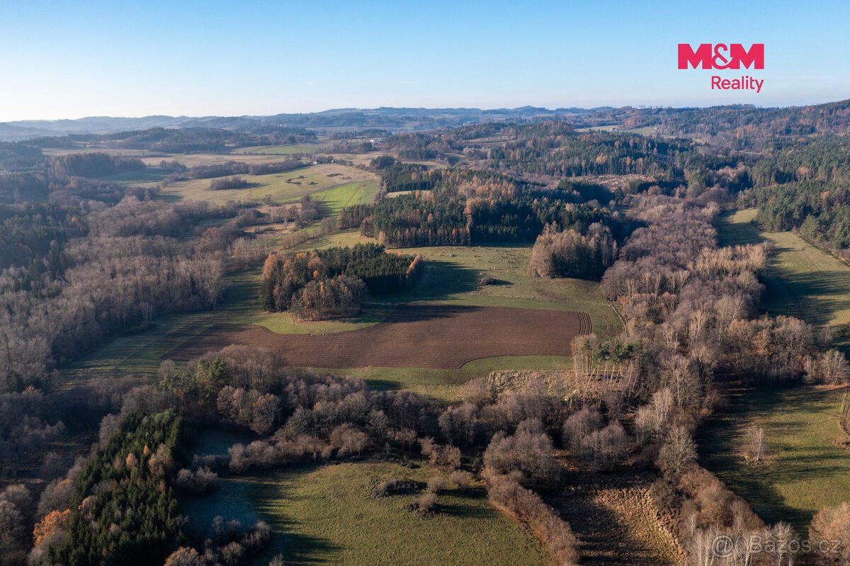 Prodej lesa, 25838 m², Nalžovské Hory