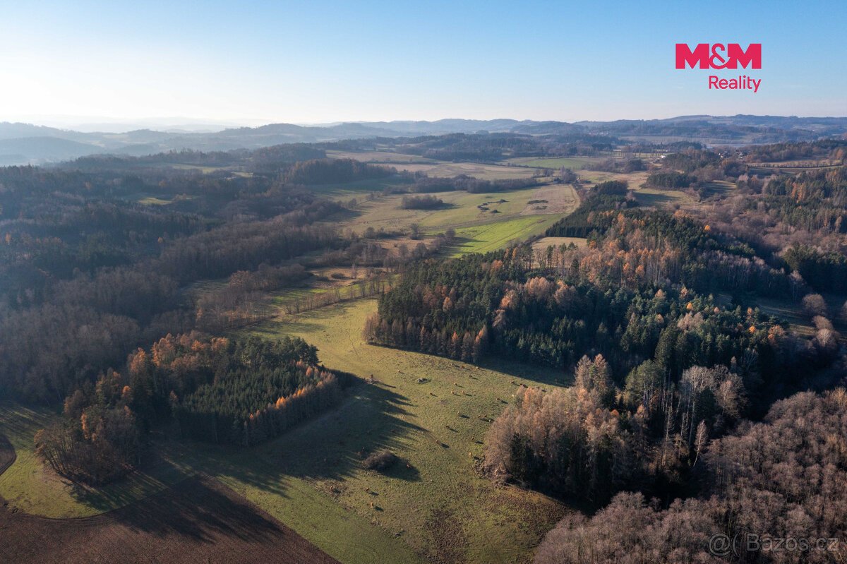 Prodej lesa, 25838 m², Nalžovské Hory
