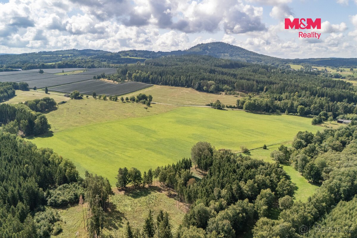 Prodej pole, 238031 m², Přimda