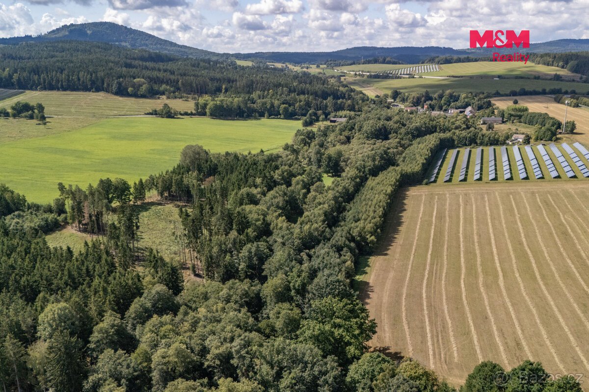 Prodej pole, 238031 m², Přimda
