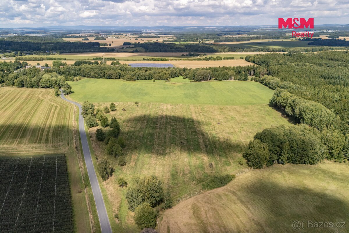 Prodej pole, 238031 m², Přimda