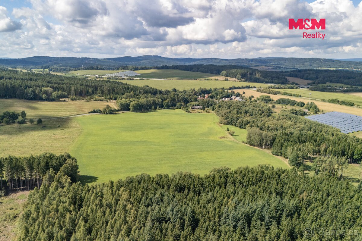 Prodej pole, 238031 m², Přimda