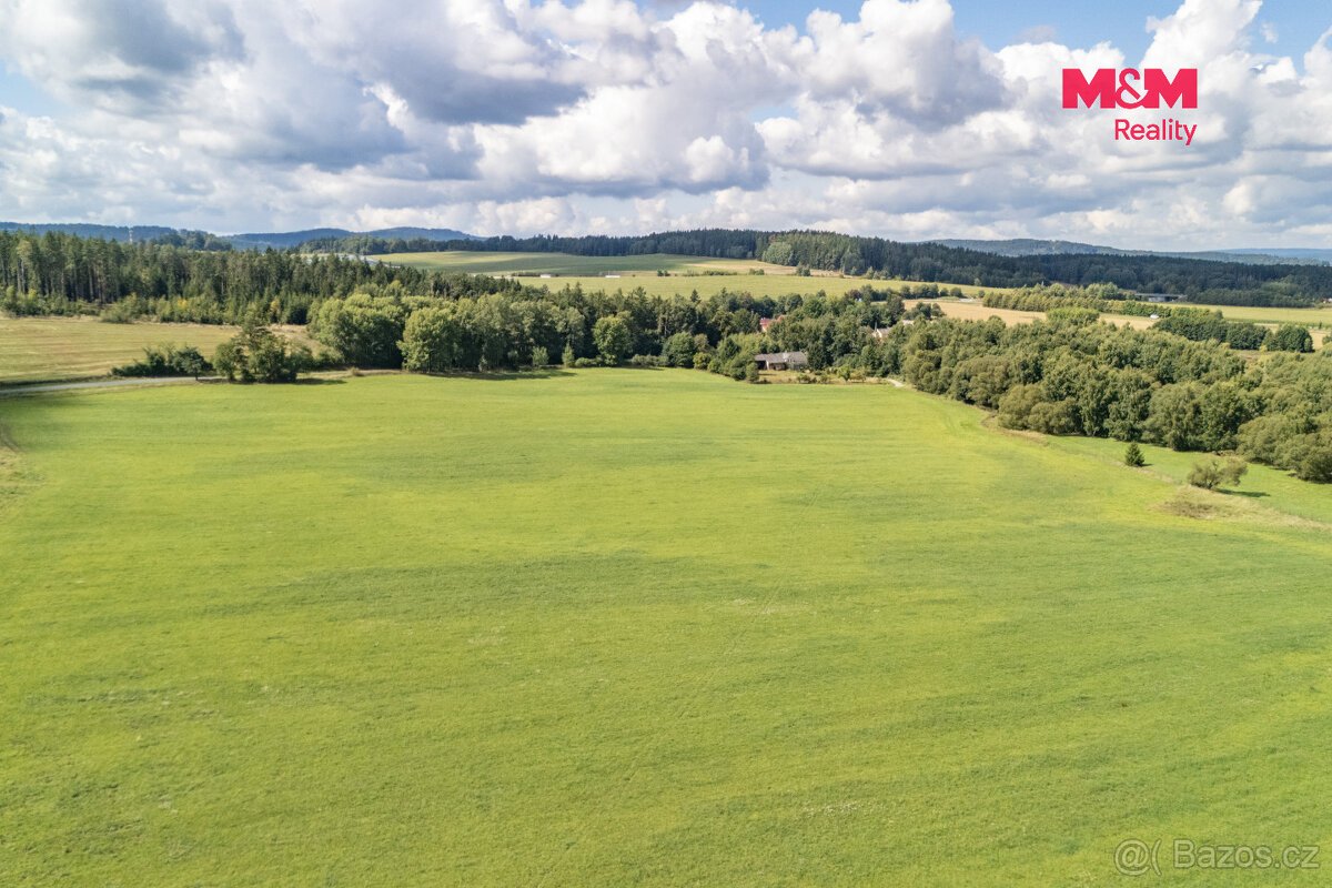 Prodej pole, 238031 m², Přimda