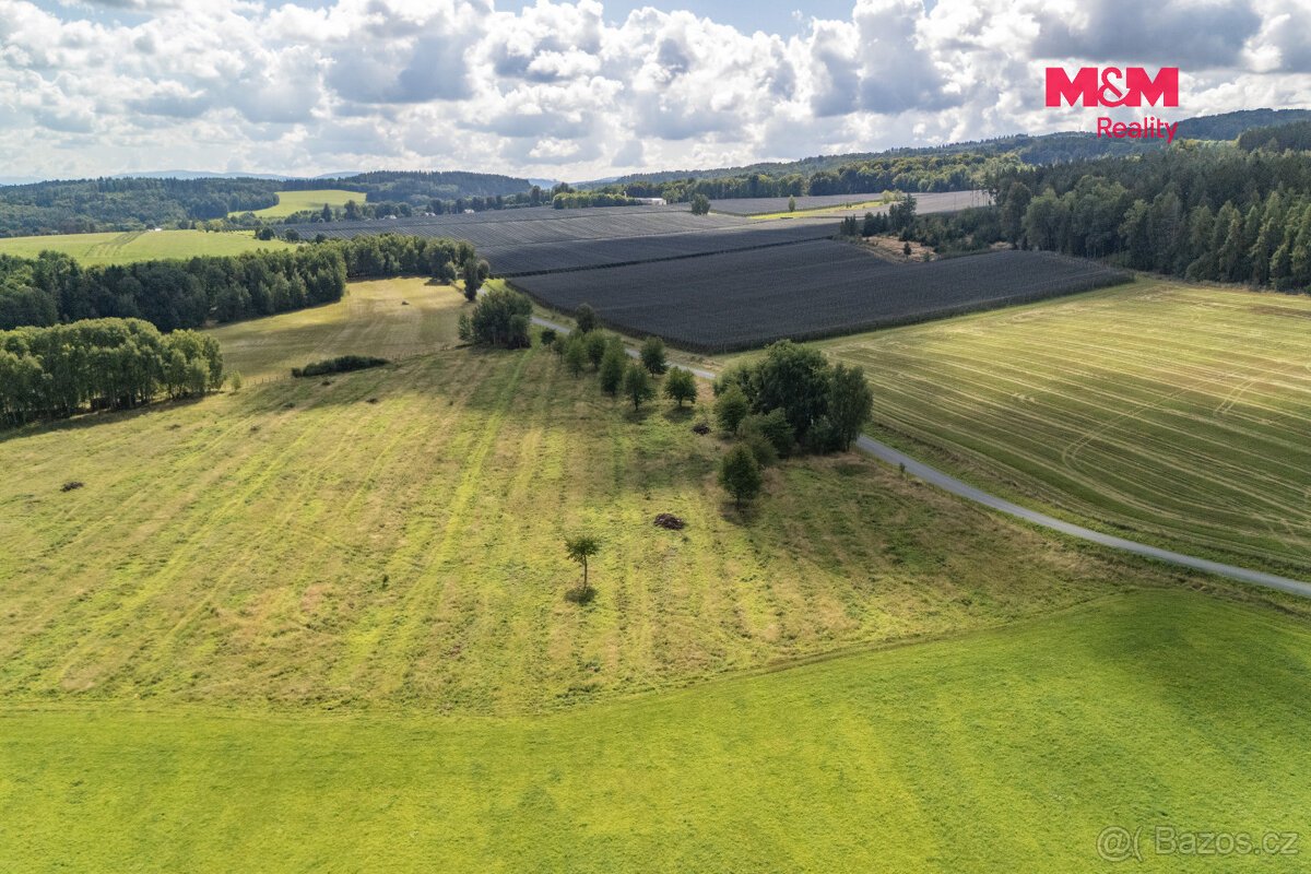 Prodej pole, 238031 m², Přimda