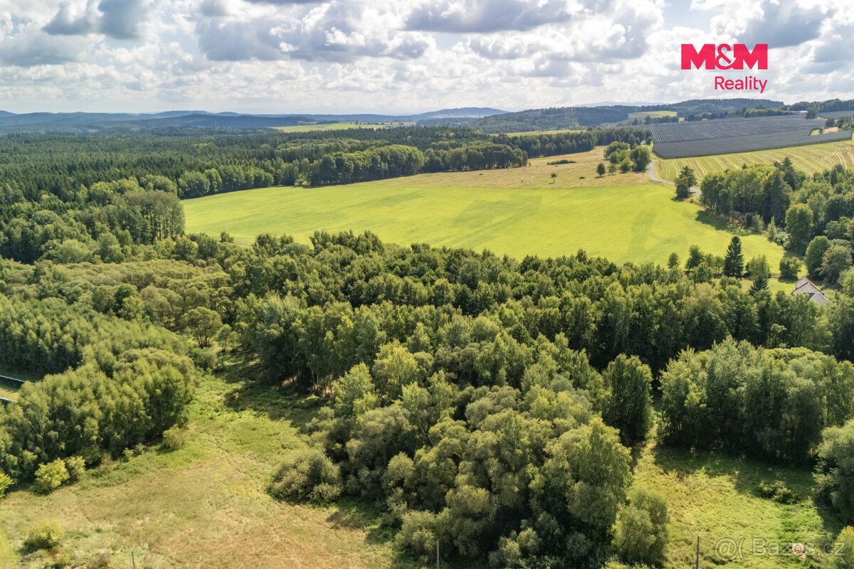 Prodej pole, 238031 m², Přimda
