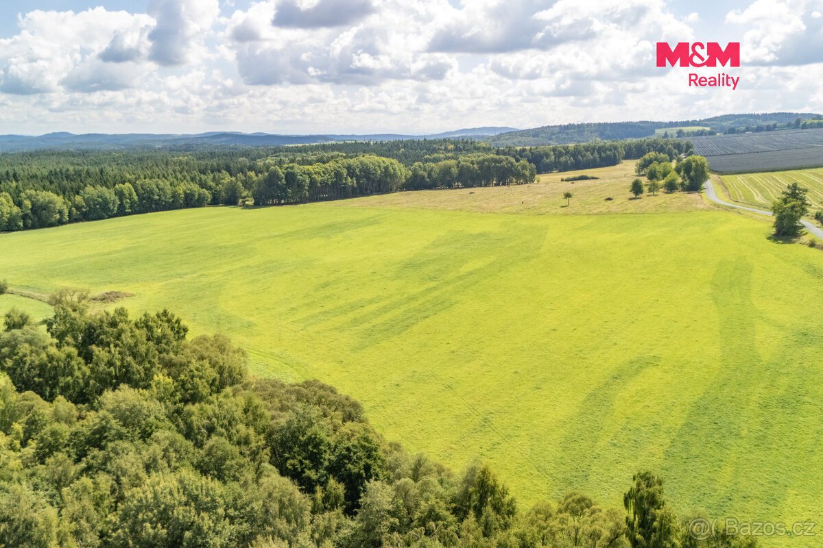 Prodej pole, 238031 m², Přimda