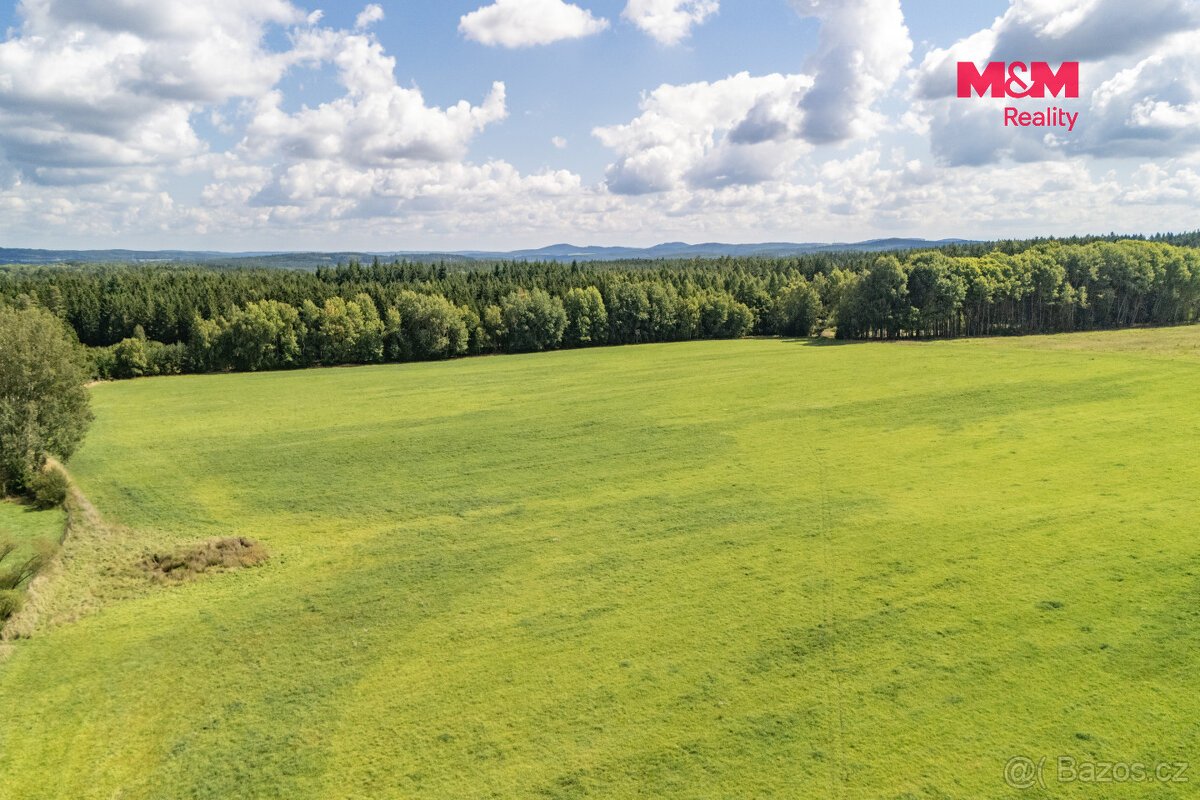 Prodej pole, 238031 m², Přimda
