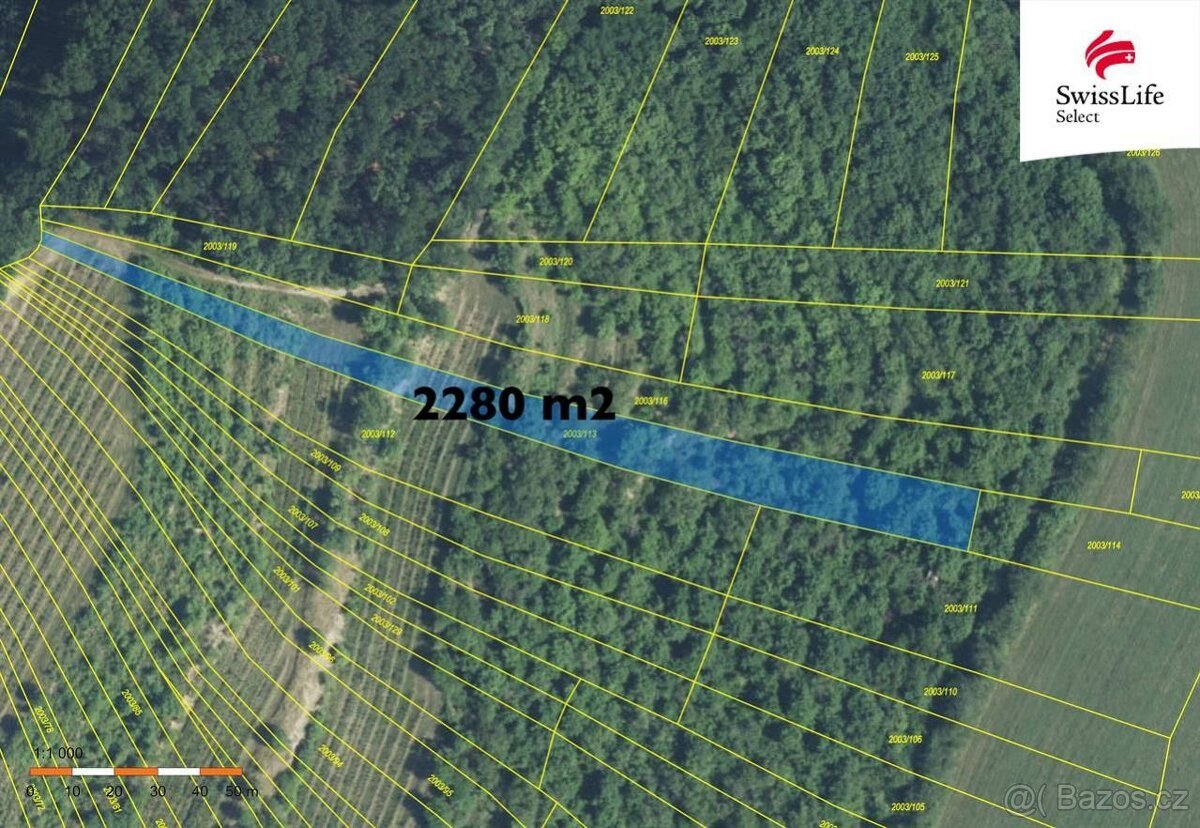 Prodej sadu, vinice 3394 m2 Brumovice