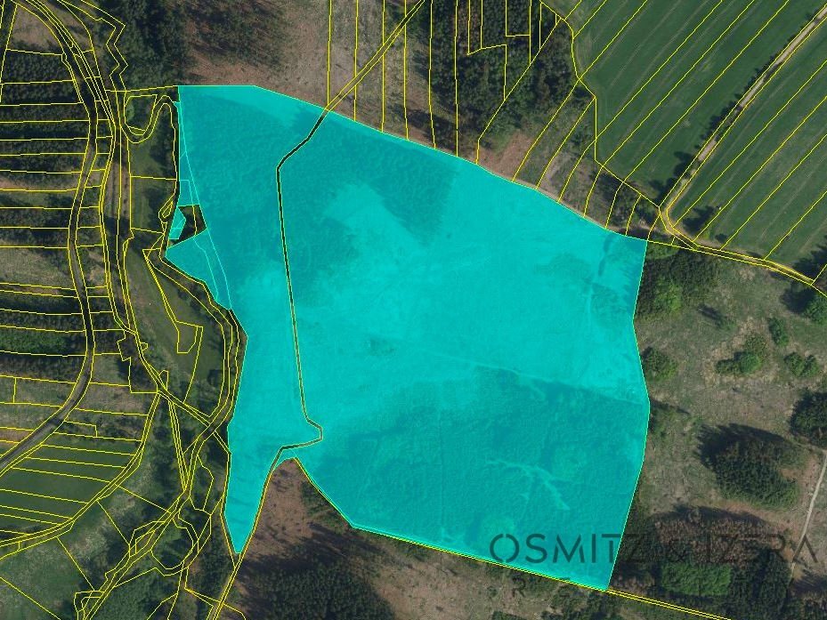 Prodej lesa 233 155 m² Žďár u Nové Včelnice