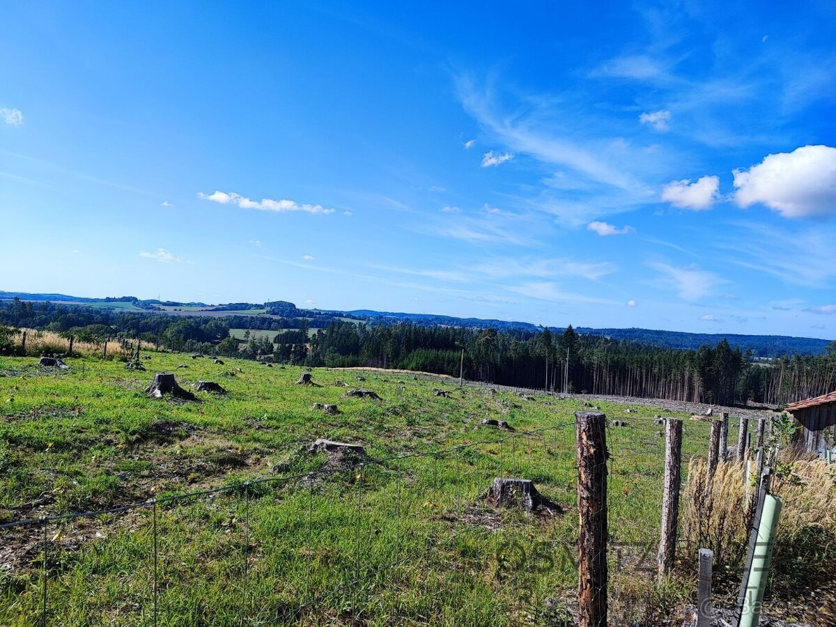 Prodej lesa 233 155 m² Žďár u Nové Včelnice