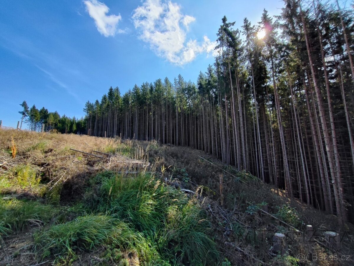 Prodej lesa 233 155 m² Žďár u Nové Včelnice