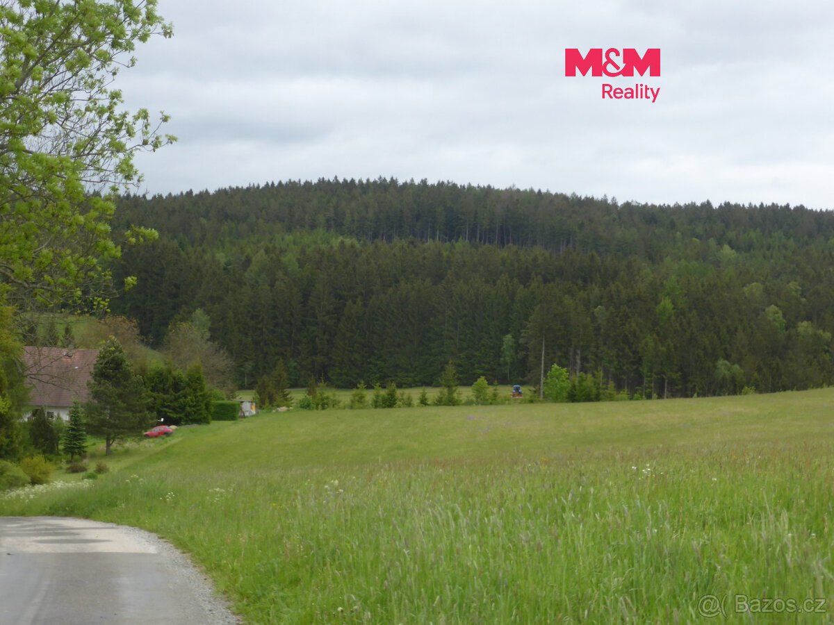Prodej lesních pozemků a louky, 26 000 m², Hronov