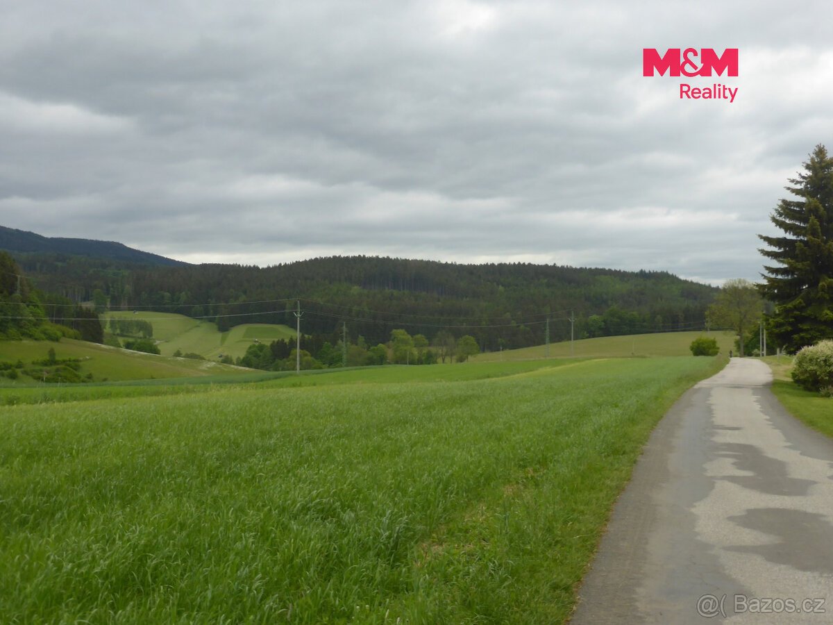 Prodej lesních pozemků a louky, 26 000 m², Hronov