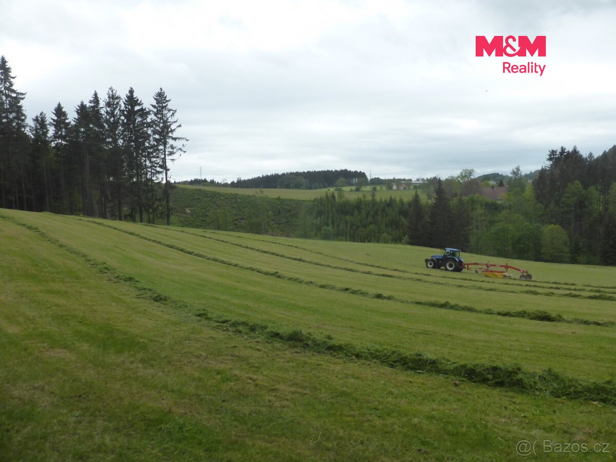Prodej lesních pozemků a louky, 26 000 m², Hronov