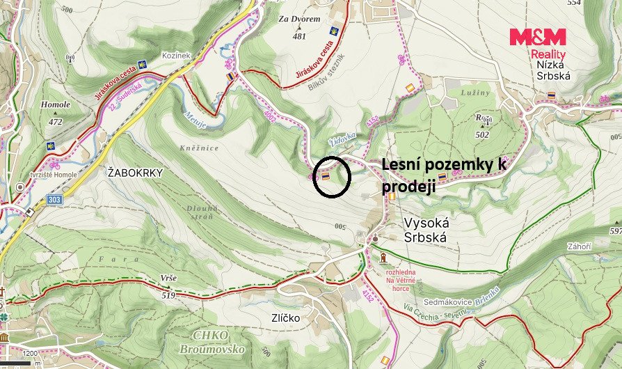 Prodej lesních pozemků a louky, 26 000 m², Hronov