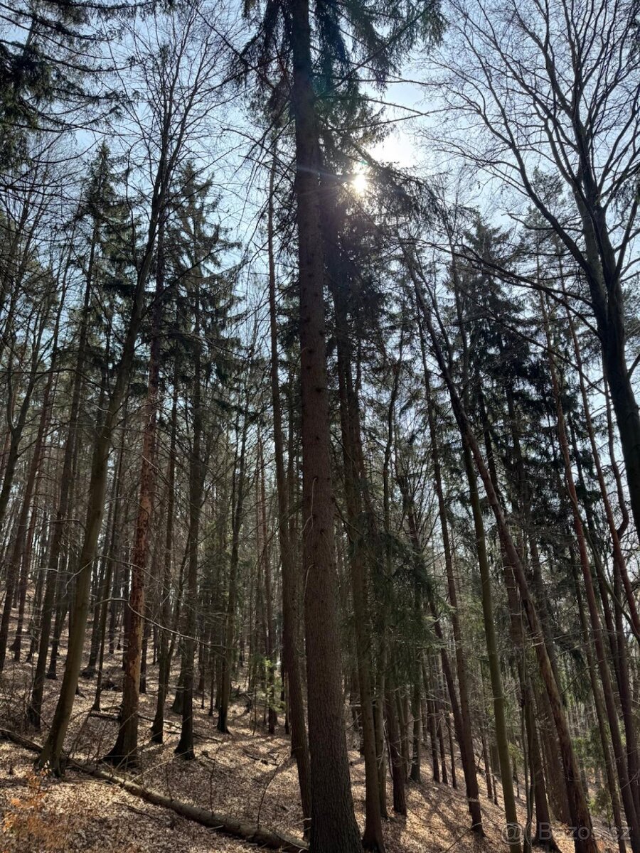 Prodej pozemků k.ú. Bohutín nad Moravou (2)