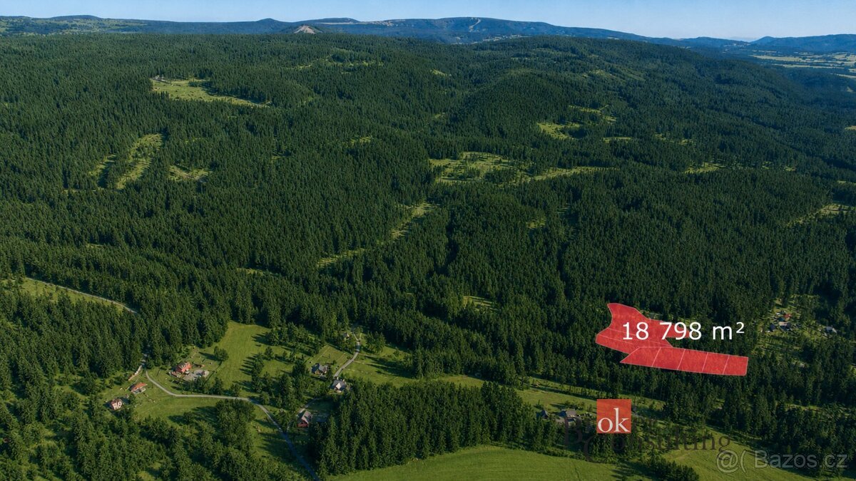 Prodej, pozemky/bydlení, 1613 m2, Nejdek, Karlovy Vary [ID 8