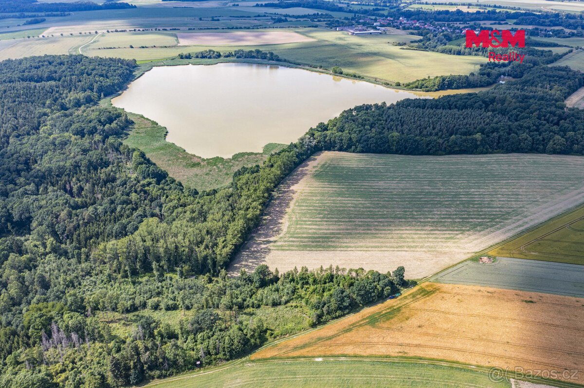 Prodej, les 4223 m2, pozemek 7748 m2, Bohuslavice n. Metují