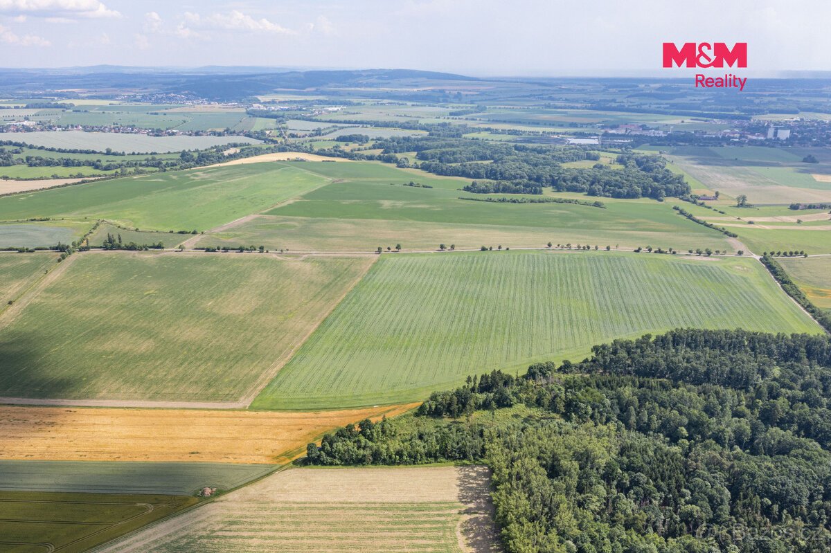 Prodej, les 4223 m2, pozemek 7748 m2, Bohuslavice n. Metují