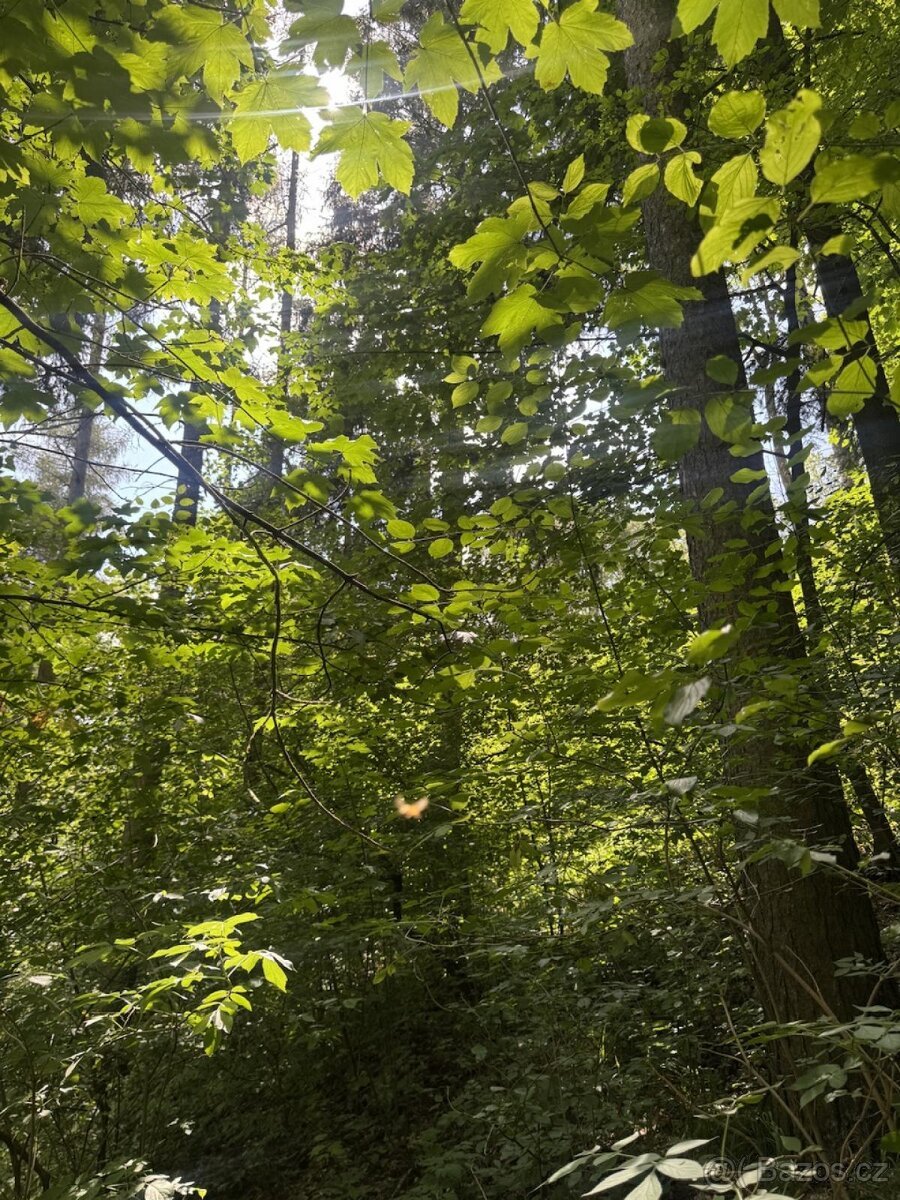 Prodej pozemků k.ú. Kněžnice (2)