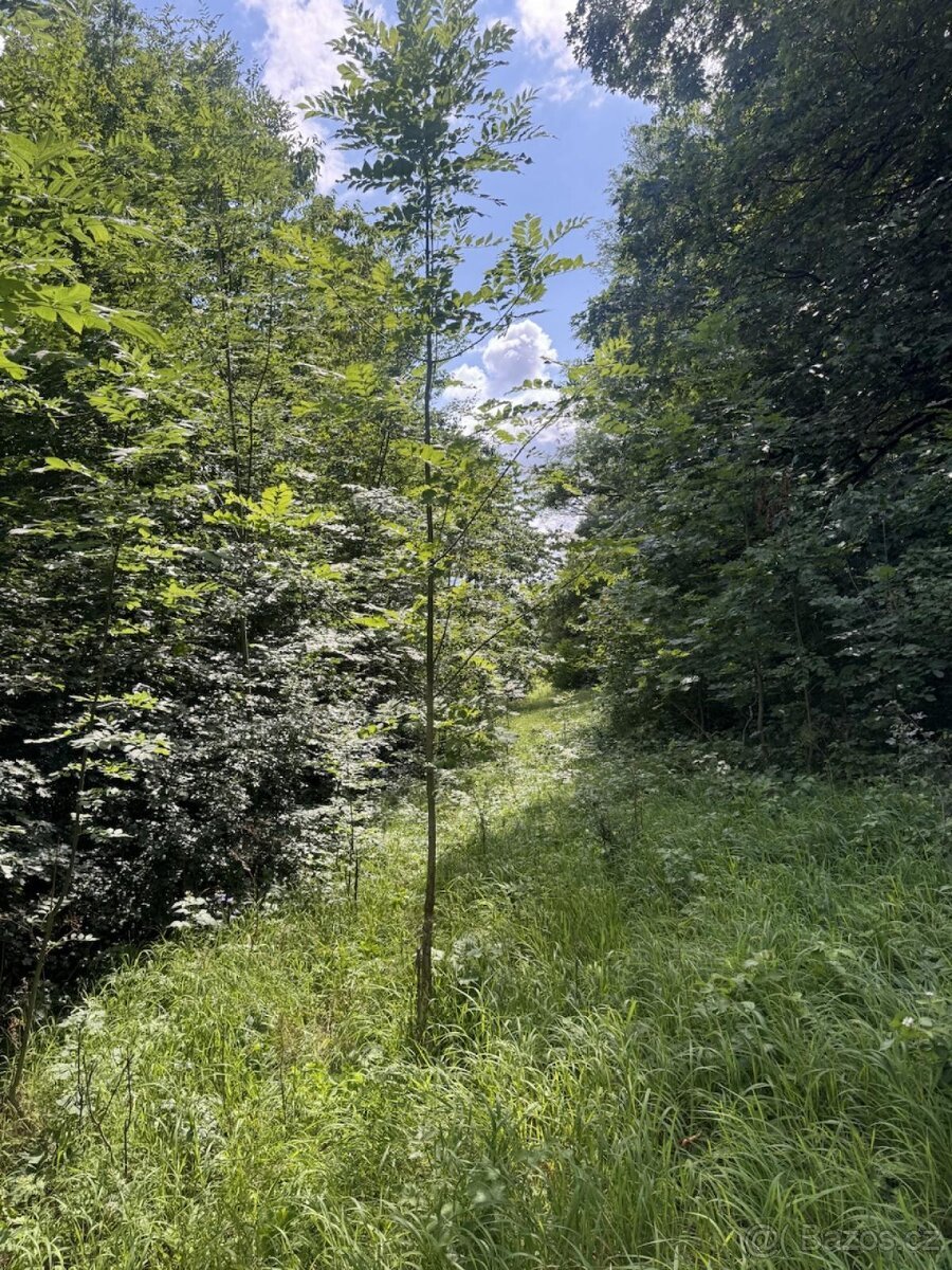Prodej pozemků k.ú. Kněžnice (2)