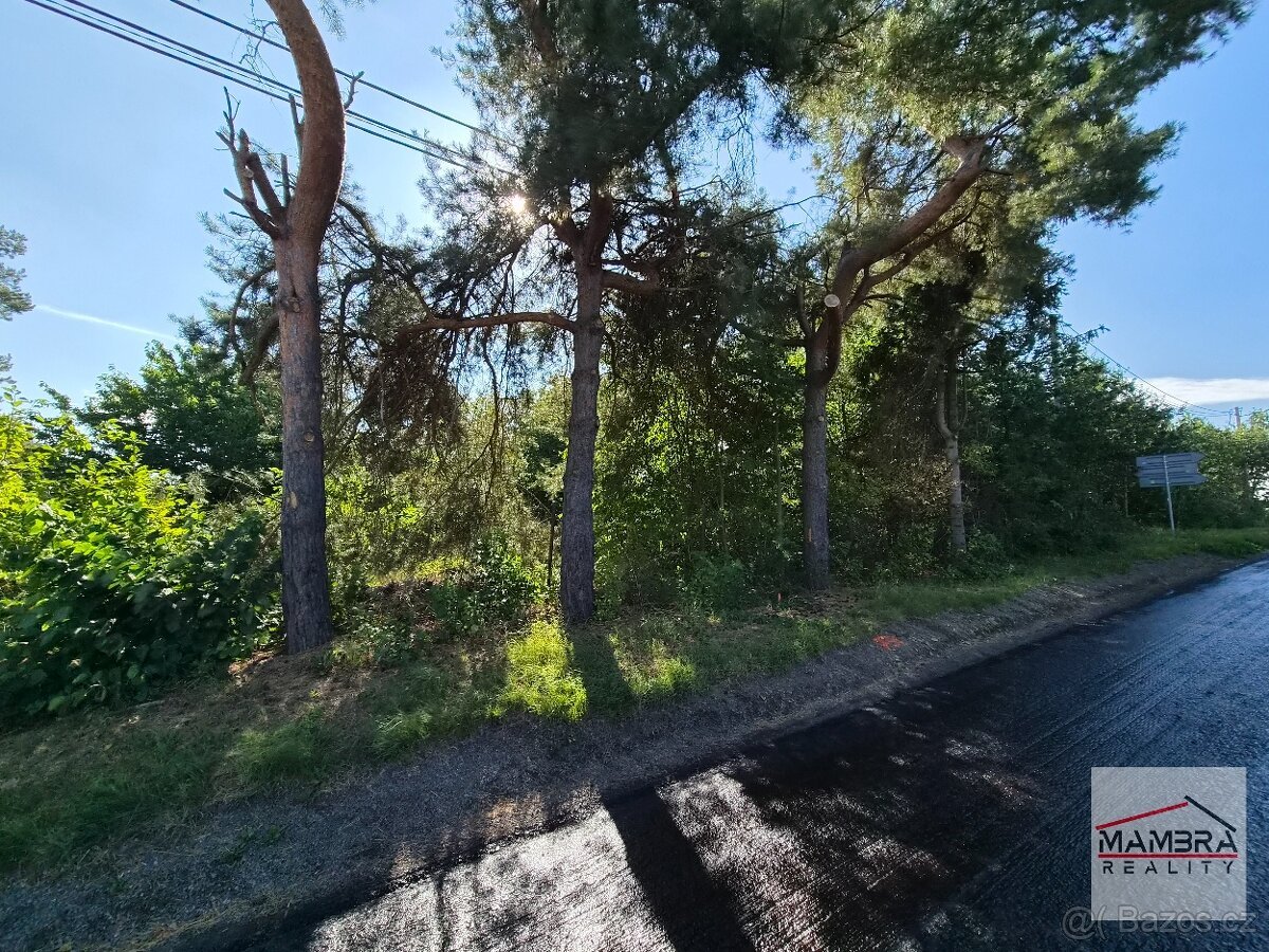 PRODEJ STAVEBNÍHO POZEMKU 1165 m2 JAKARTOVICE - BOHDANOVICE