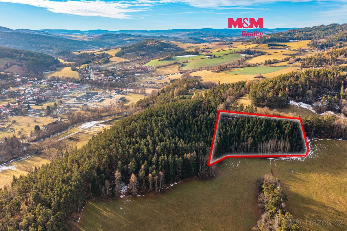 Prodej lesa, 13448 m², Malenice